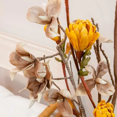 Πανσιόν Casa Do Poco 3*